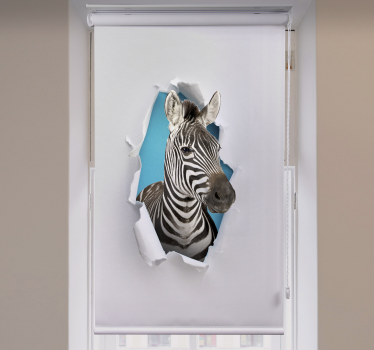 Zebra Animal blind - TenStickers