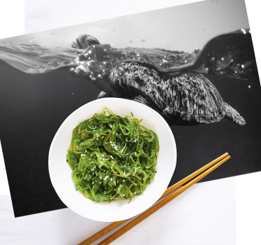 Textured placemats turtle underwater scene - TenStickers