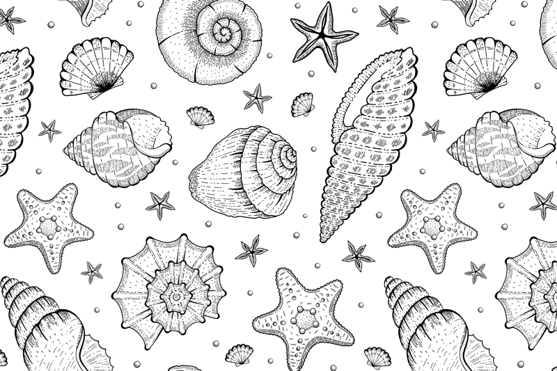 Marine life and seashells sea life placemats - TenStickers