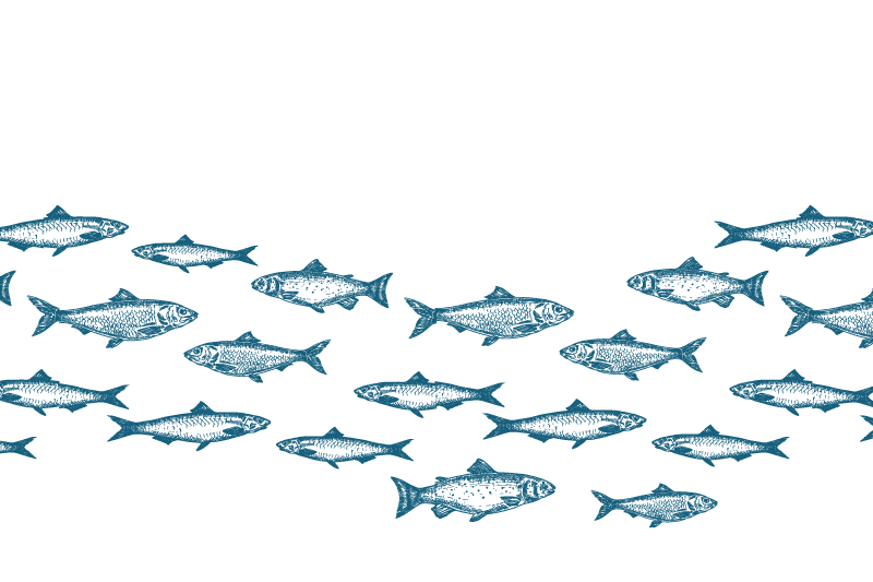 Original placemats swimming fish design - TenStickers