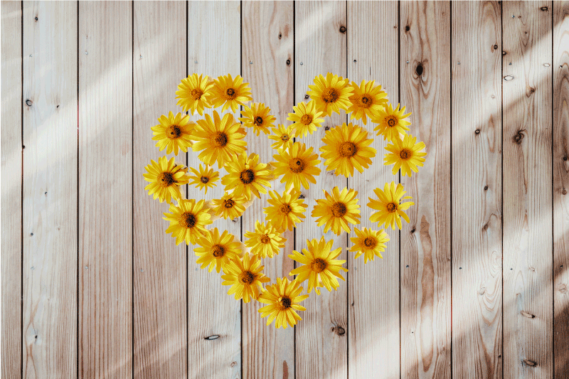 Heart daisie on wood texture elegant placemats - TenStickers