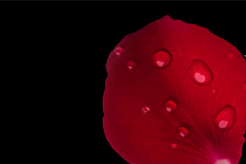 Textured placemats red petal surface - TenStickers