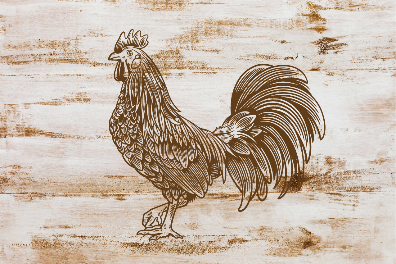 Modern placemats stylish rooster design - TenStickers