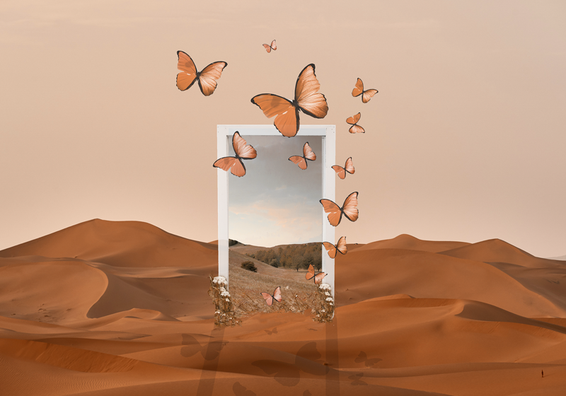 Original placemats butterflies emerging design - TenStickers