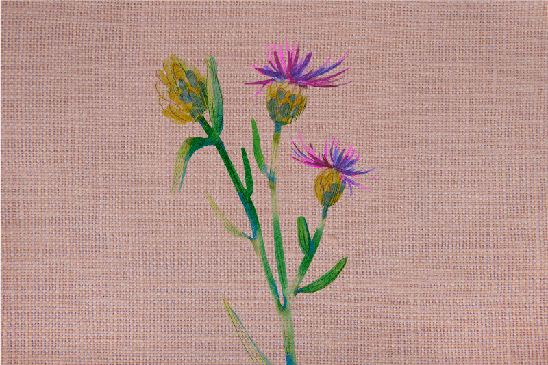 Woven Thistle is a type of fabric made from the fibers of the thi - TenStickers