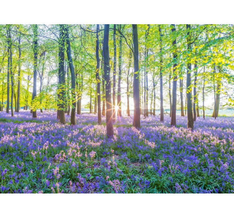 Forest wall mural nature-inspired modern design - TenStickers