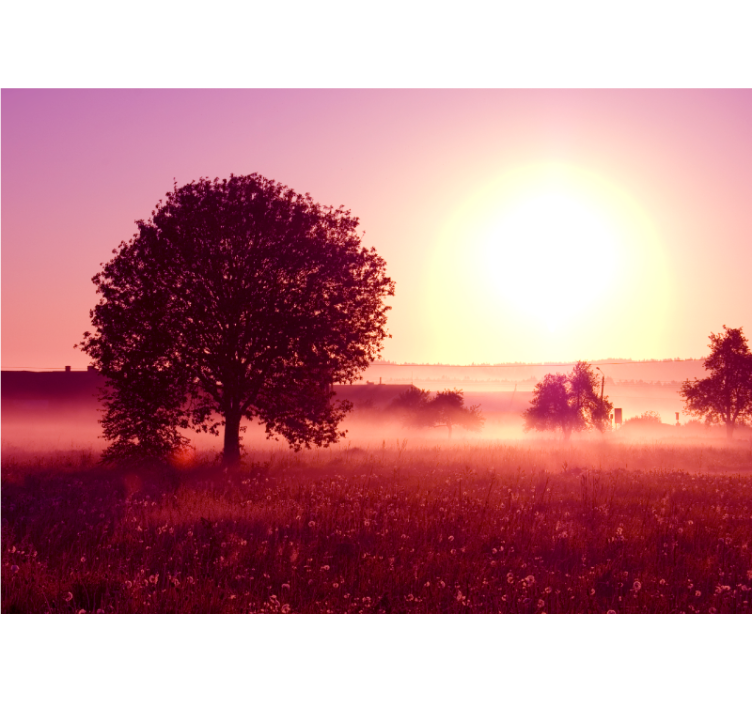 Wall mural nature silhouetted tree at sunset - TenStickers