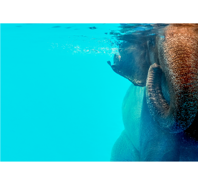 Living room elephant under the sea wall mural - TenStickers