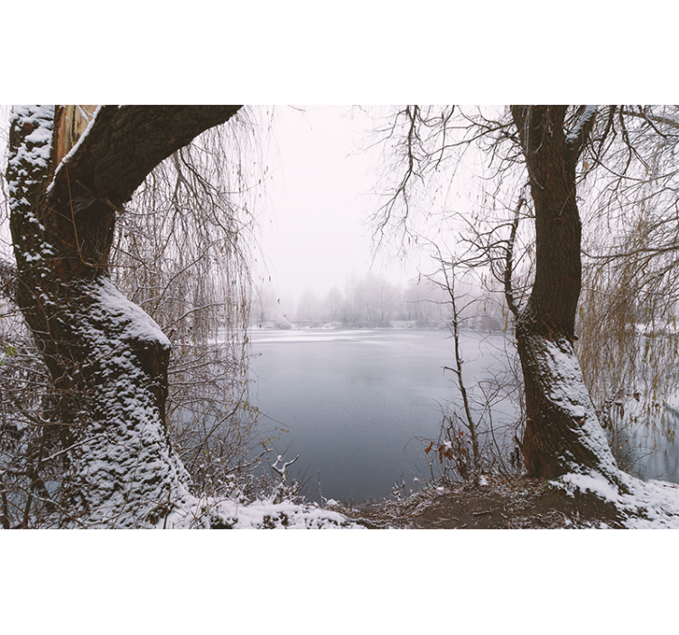Frozen Lake View wall mural mountain - TenStickers