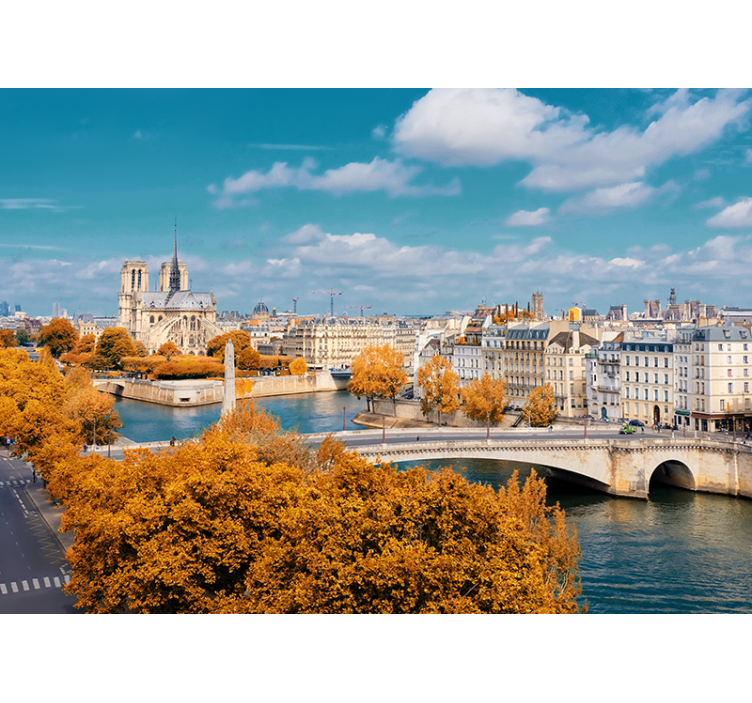Notre dame paris wall mural - TenStickers