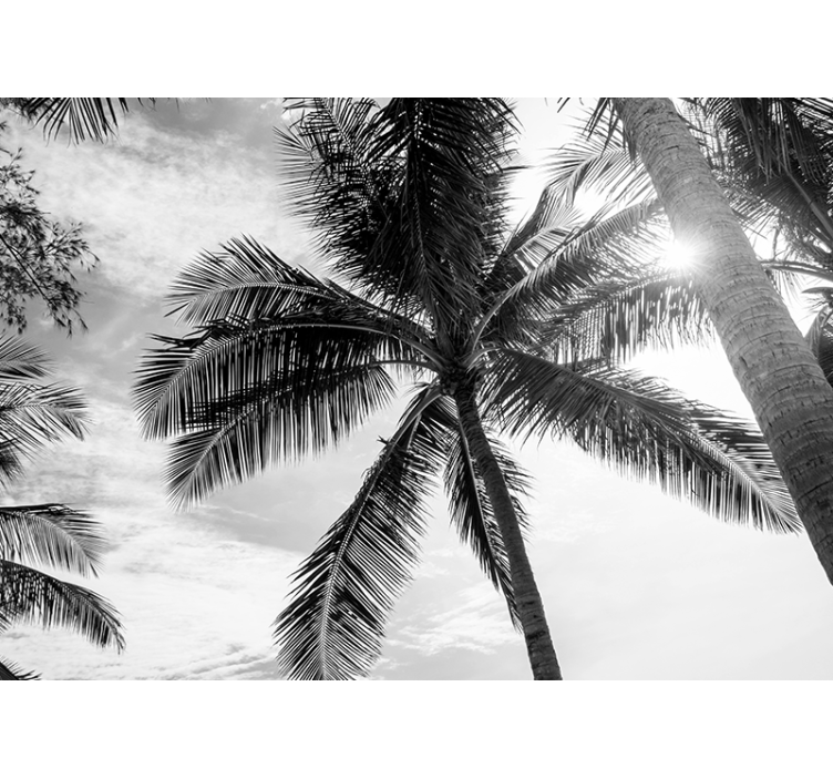 Black and white palm tree mural - TenStickers