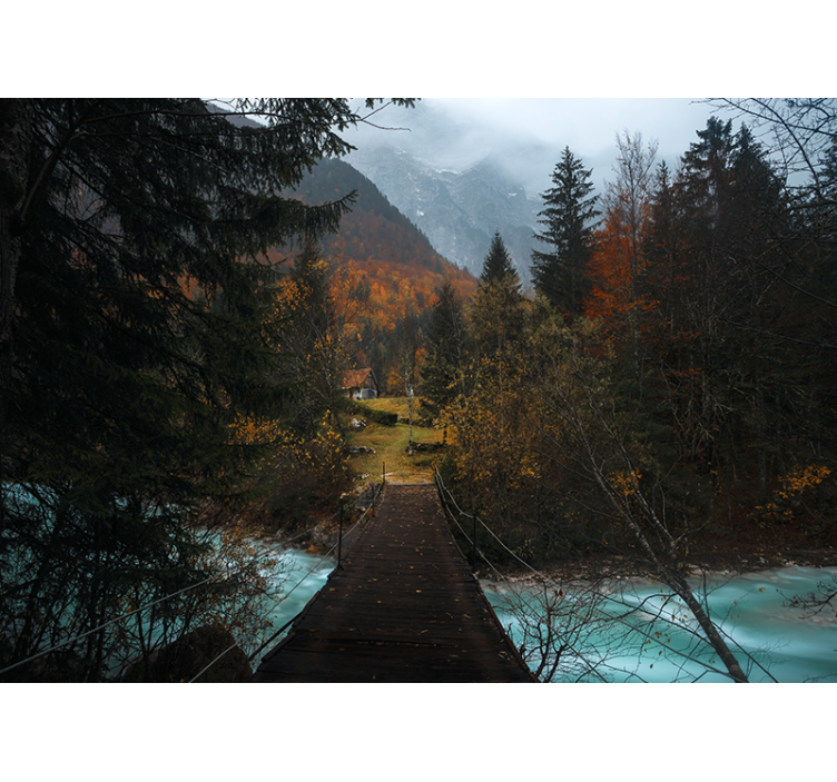 Bridge in the forest Wall Mural - TenStickers