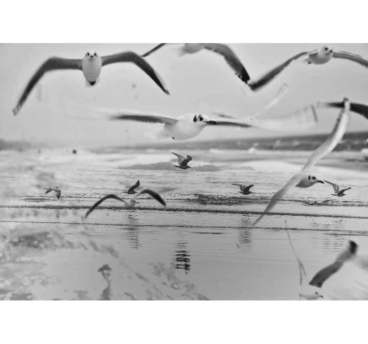 Flying seagulls on the beach wall mural - TenStickers