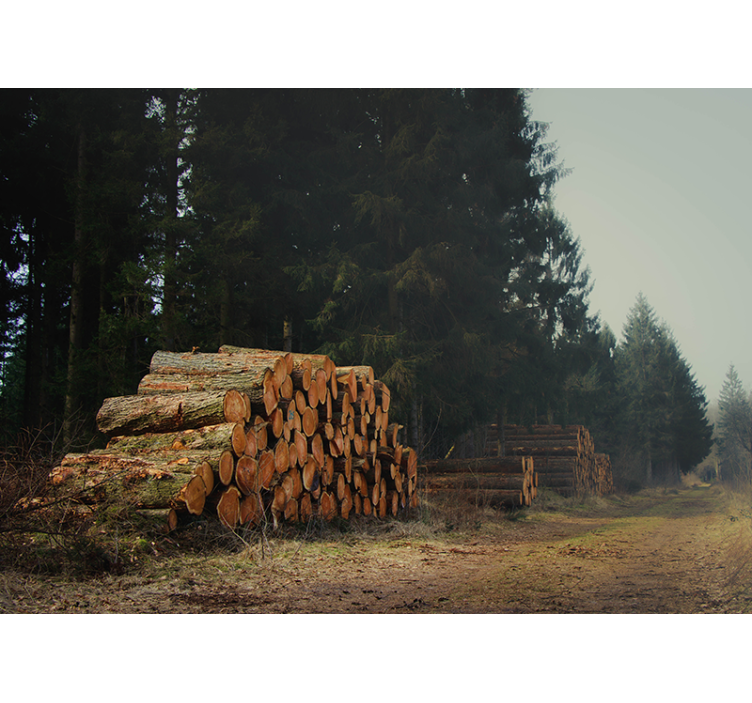 Forest logs pile Wall Mural - TenStickers