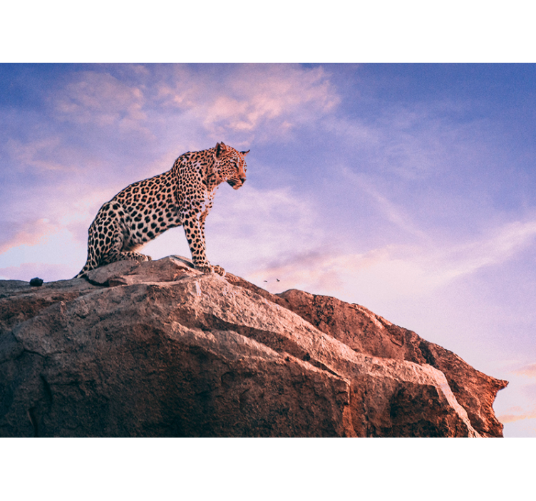 Leopard on Rock animals wall mural - TenStickers