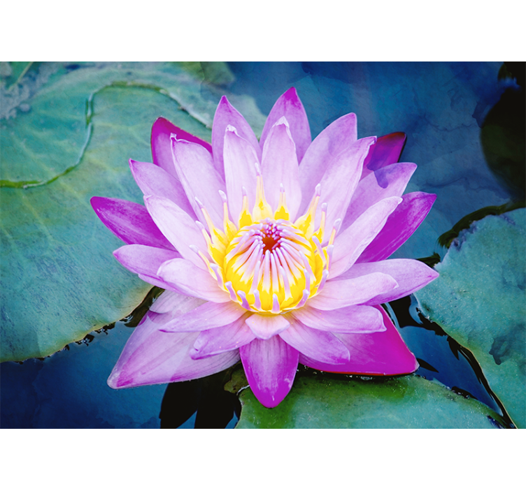 Purple Lotus Flower wall mural - TenStickers