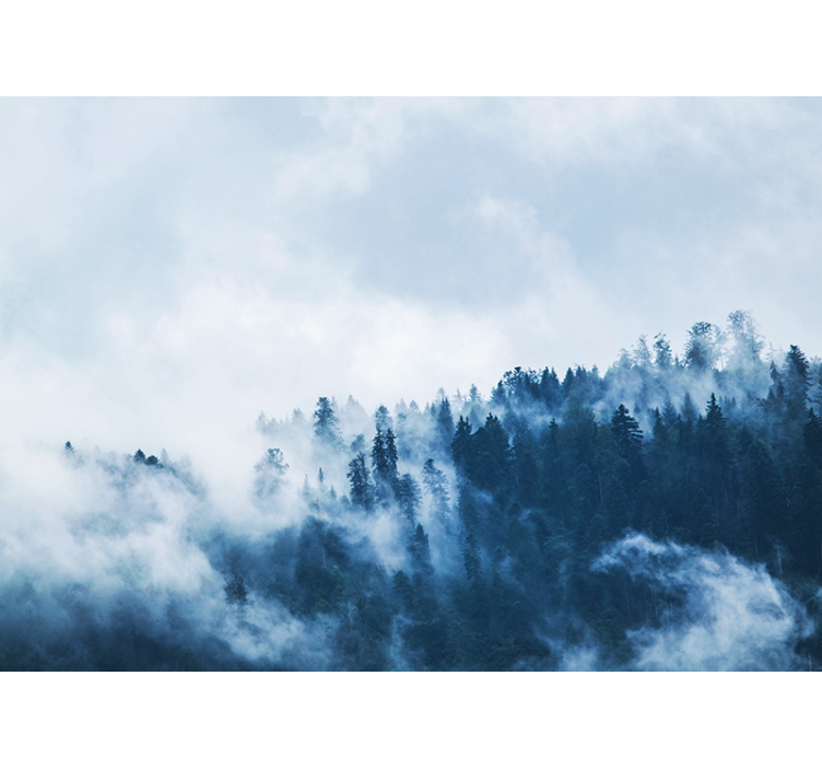 Wall mural nature forest misty landscape - TenStickers