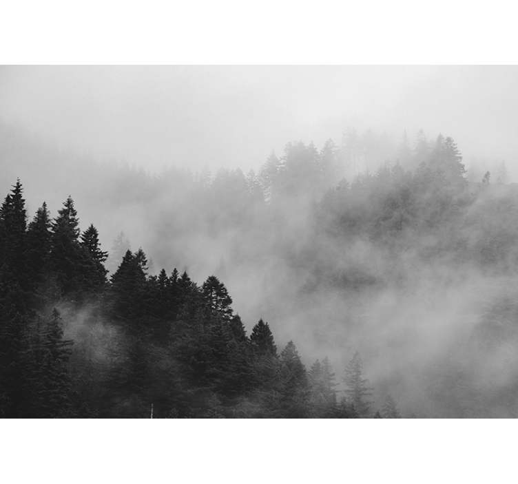 Black and white Misty forest  Forest Wall Mural - TenStickers