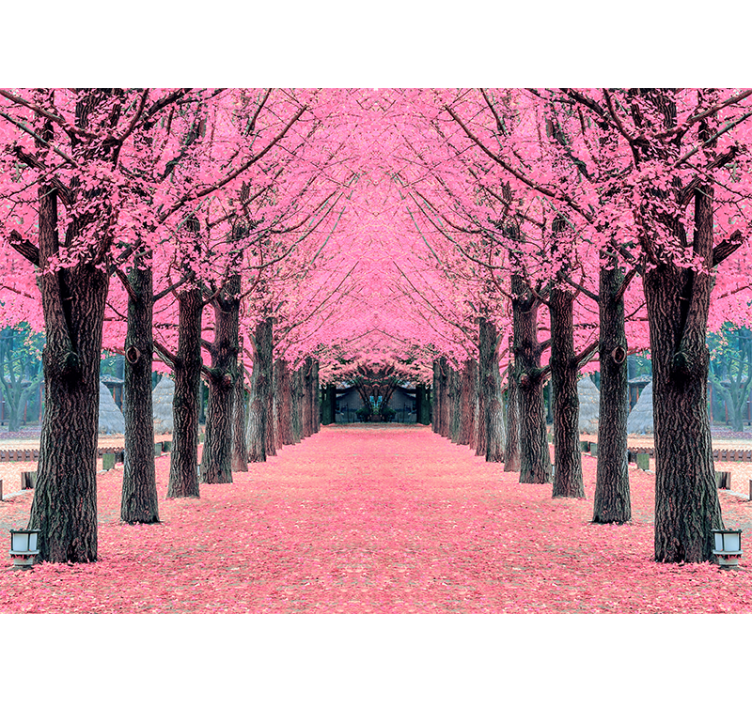 Cherry Blossom Path flower wall mural - TenStickers
