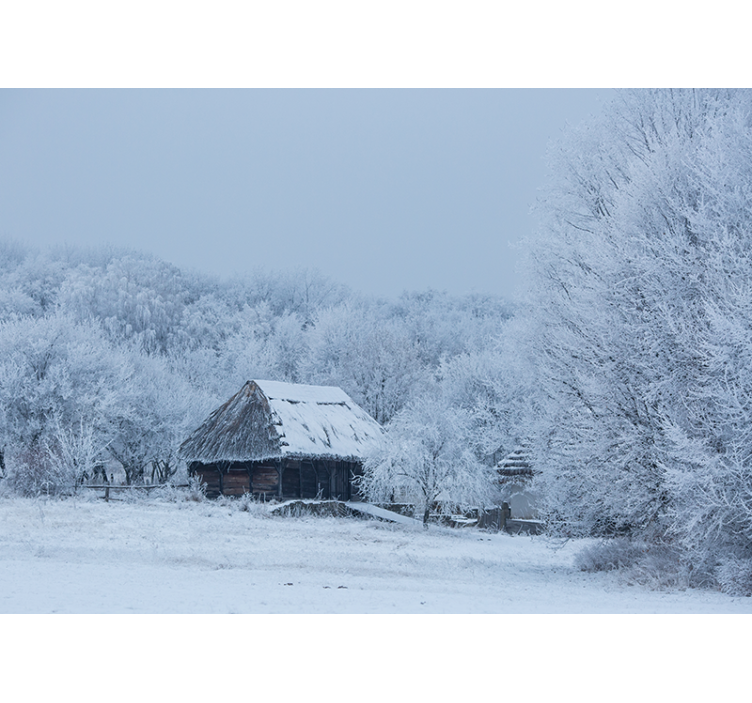 Icy Winter Scenery landscape wall mural - TenStickers