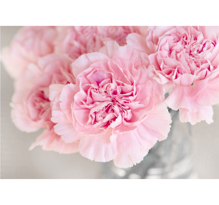 Many pink cloves grey background wall mural - TenStickers