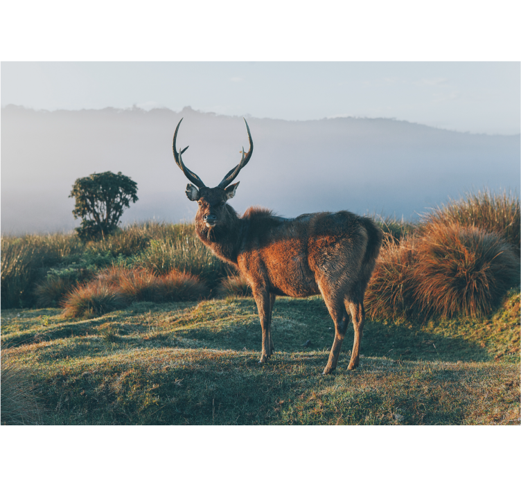 Majestic stag profile animals wall mural - TenStickers