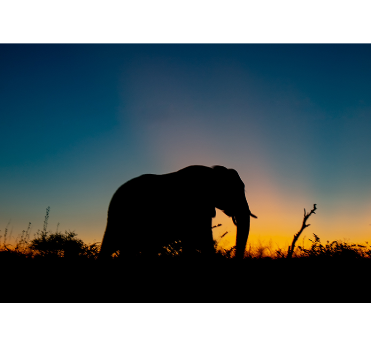 Animals wall mural elephant silhouette at sunset - TenStickers