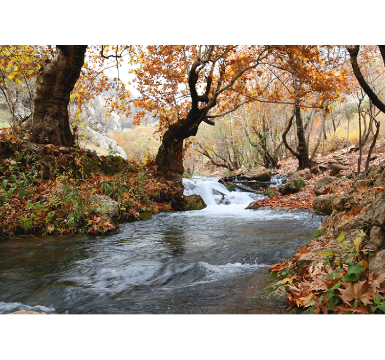River autumn landscape  nature wall mural - TenStickers