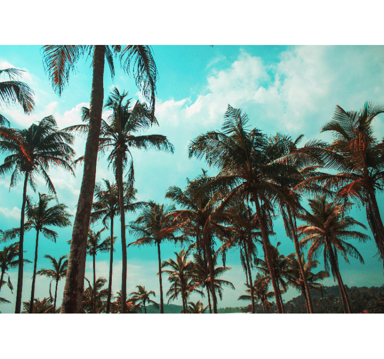 Wall mural nature tropical palm trees paradise - TenStickers