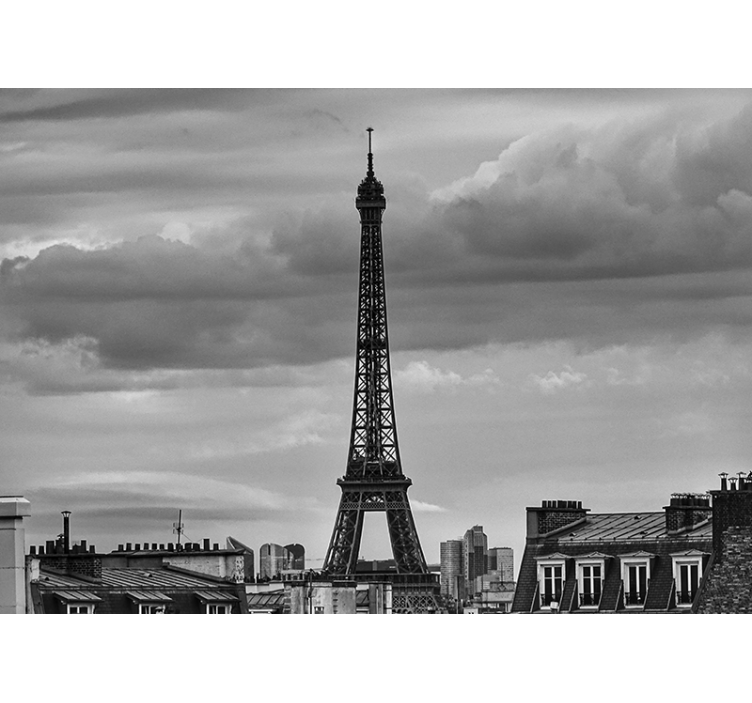 Tour Eiffel black and White paris wall mural - TenStickers