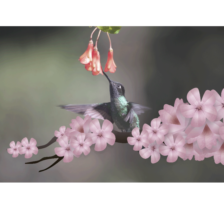 Hummingbird and blooms animals wall mural - TenStickers