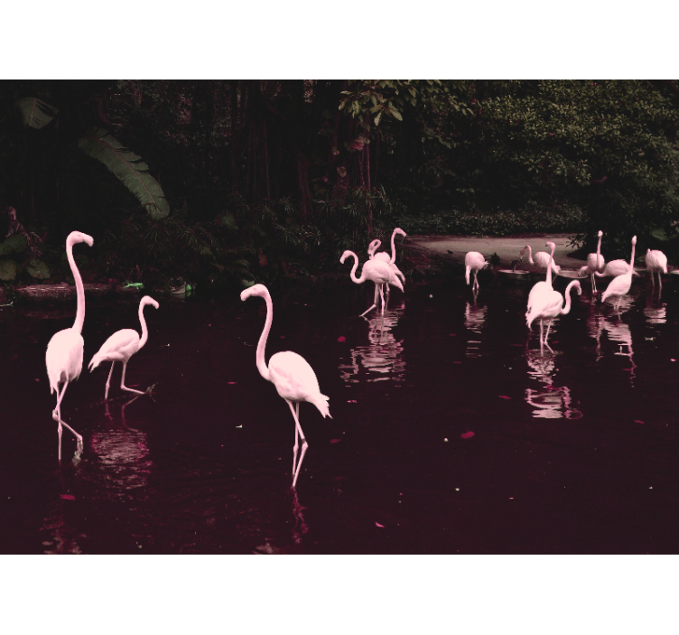 Flock of beautiful flamingos wall mural - TenStickers