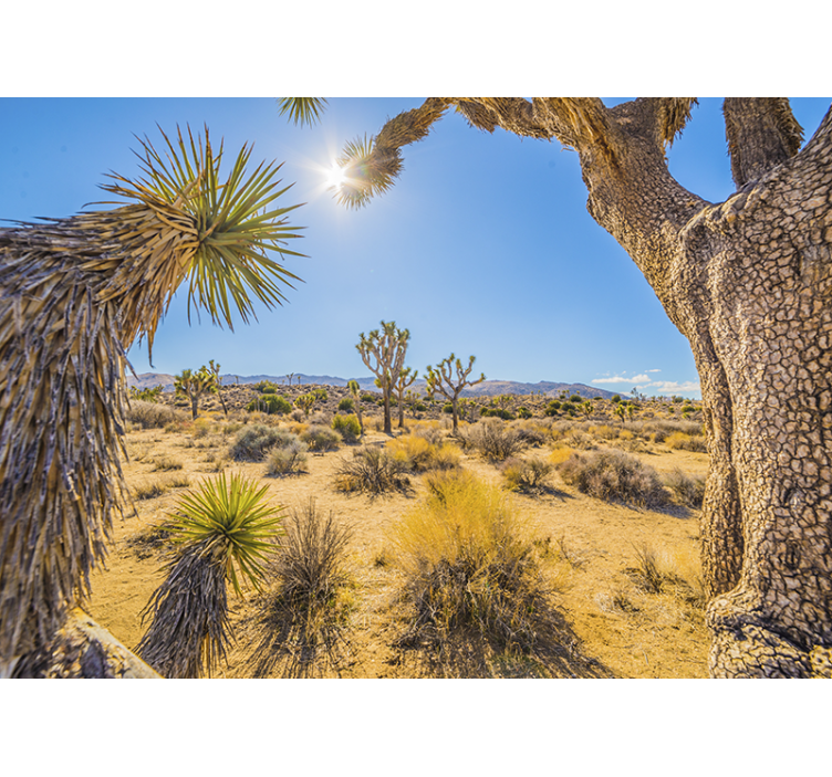 Wall mural mountain desert oasis landscape - TenStickers