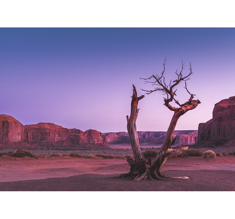 Landscape wall mural desert stone formation - TenStickers