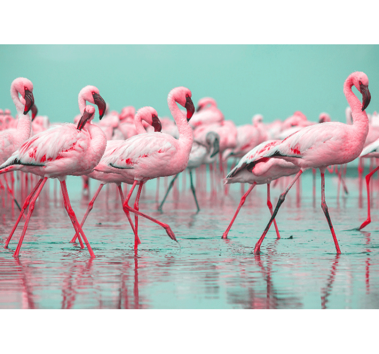 Animals wall mural flamingo flock walk - TenStickers