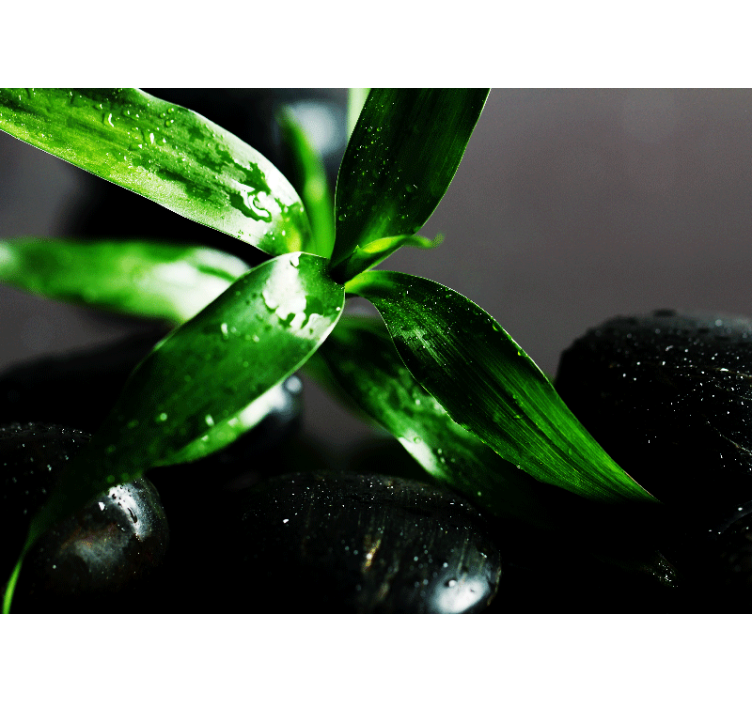 Wall mural nature fresh leaves pattern - TenStickers