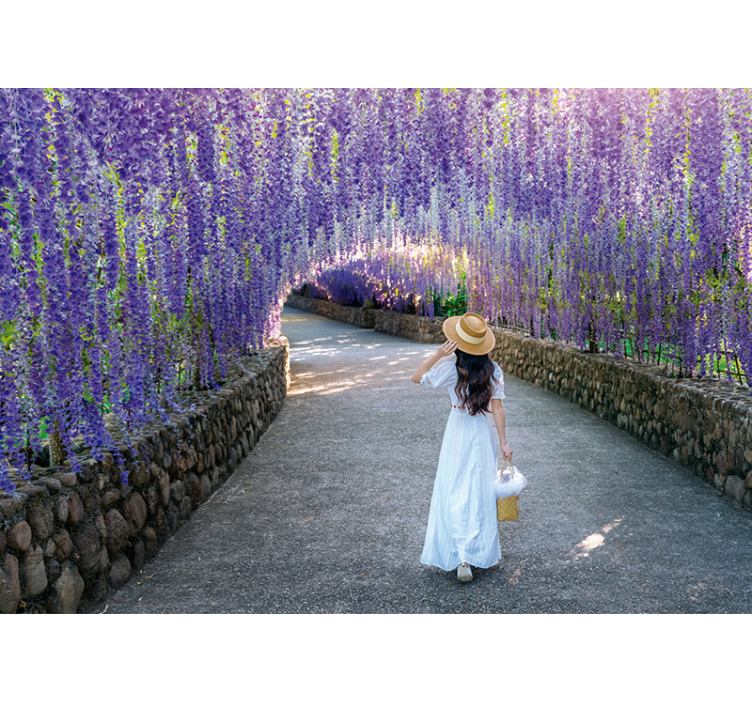 Flower wall mural wisteria blossom path - TenStickers