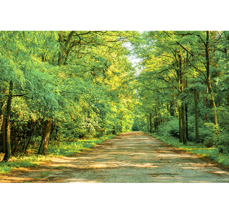 Wall mural nature lush green pathway - TenStickers
