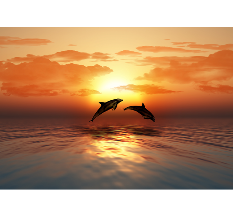 Dolphins Jumping Sunset animals wall mural - TenStickers