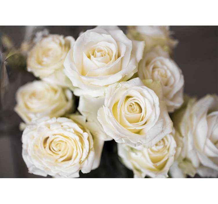 Elegant white roses flower wall mural - TenStickers
