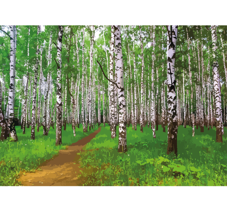 Wall mural nature birch forest path - TenStickers