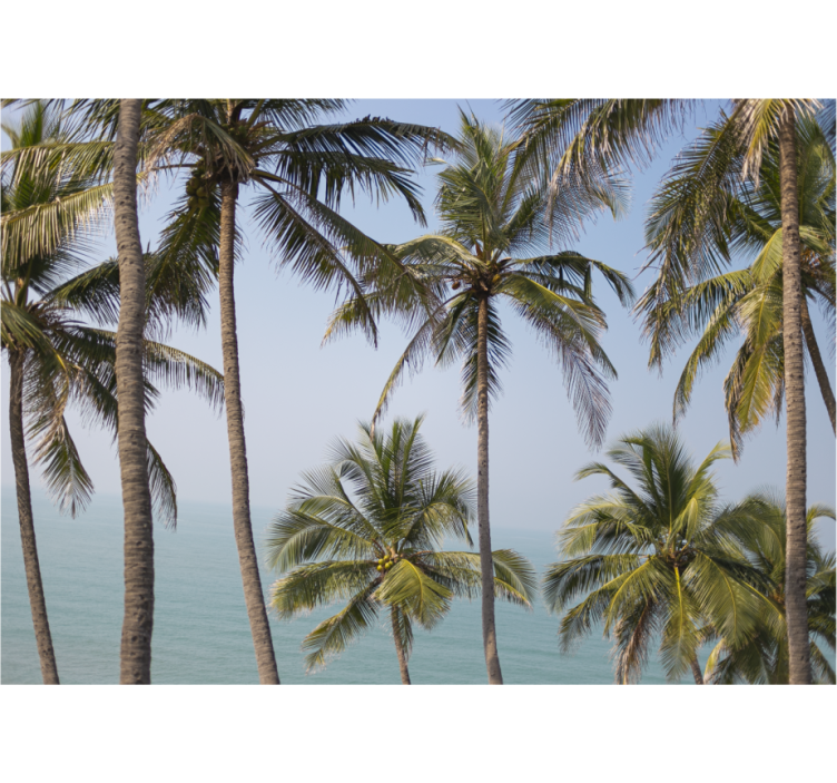 Wall mural nature palm trees scenery - TenStickers