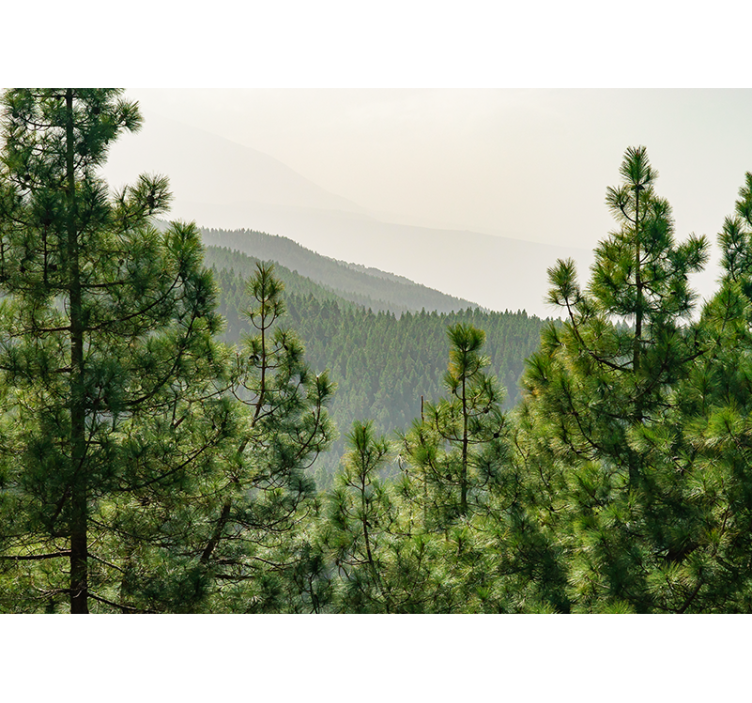 Wall mural nature lush greenery landscape - TenStickers