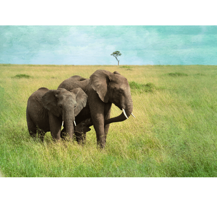 Animals wall mural elephants in grassland - TenStickers