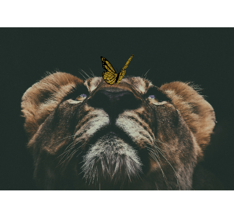 Cub with butterfly lion wall mural - TenStickers