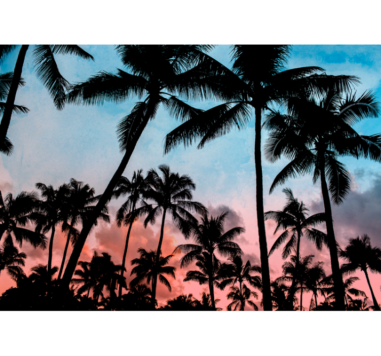 Wall mural nature tropical palm shadows - TenStickers