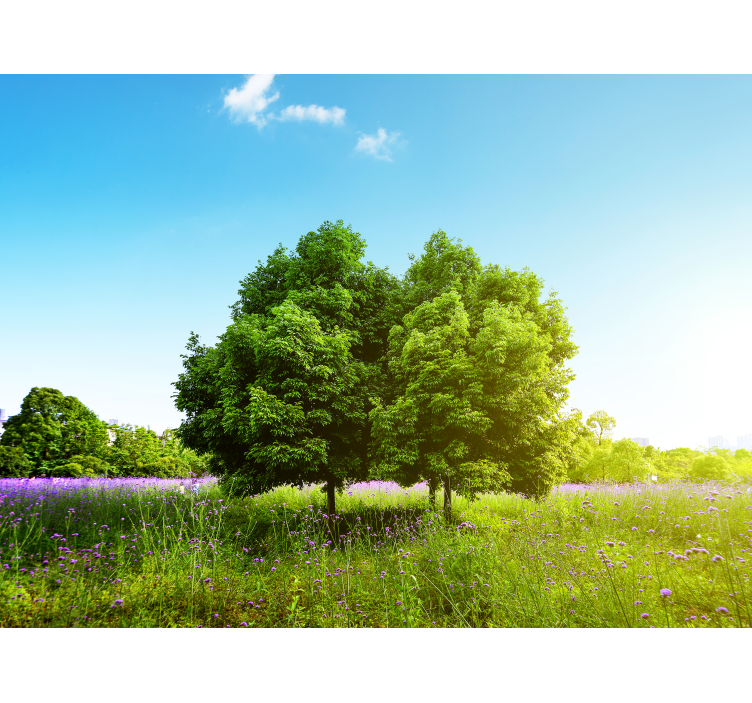 Wall mural nature lush green trees - TenStickers