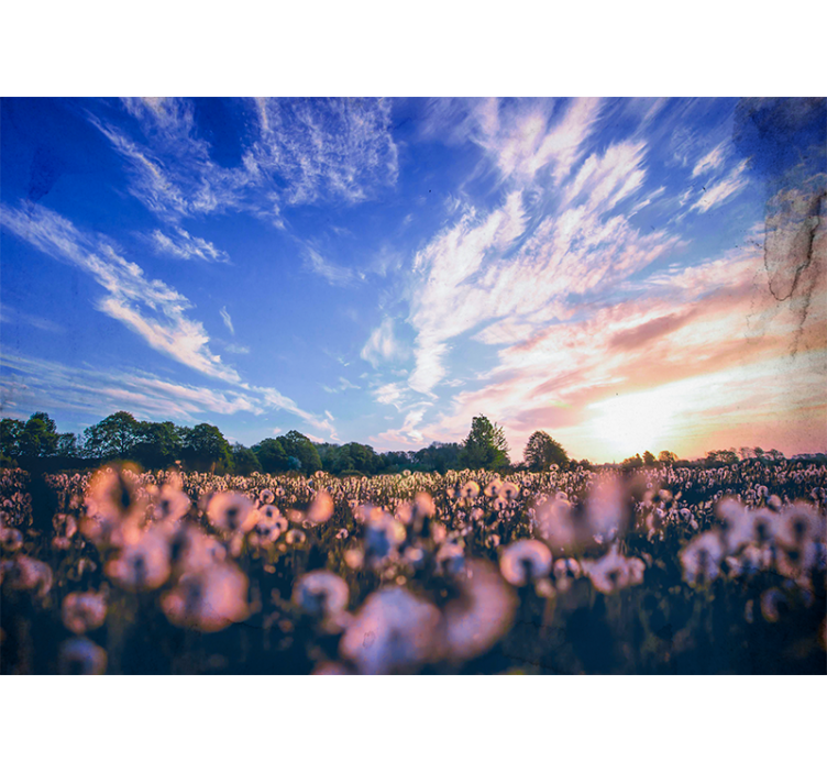 Dandelion field serenity flower wall mural - TenStickers