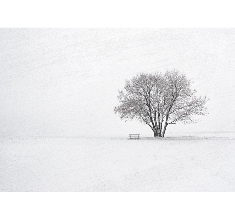 Wall mural nature solitary snow-covered tree - TenStickers
