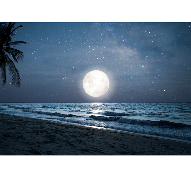 Wall mural nature bright moonlit ocean - TenStickers